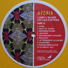 Vinylskiva Lowell Brams & Sufjan Stevens - Aporia (Yellow Coloured) (LP) - 4
