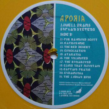Płyta winylowa Sufjan Stevens & Lowell Brams - Aporia (Yellow Coloured Vinyl) (LP) - 6