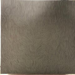 LP ploča Iron and Wine - Our Endless Numbered Days (Deluxe Edition) (2 LP) - 3