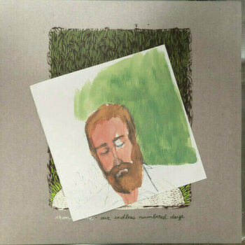 LP Iron and Wine - Our Endless Numbered Days (Deluxe Edition) (2 LP) - 5