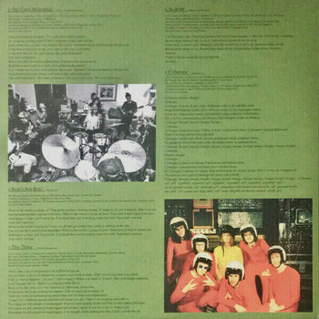 Płyta winylowa King Gizzard - Fishing For Fishies (Swamp Green & Opaque Yellow) (LP) - 6