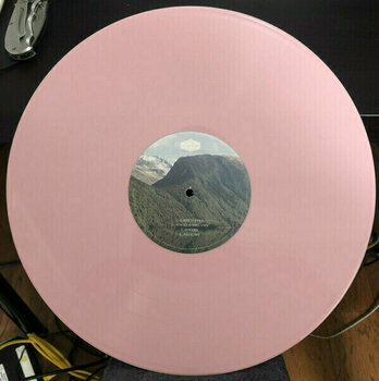 Hanglemez Rhye - Spirit (Baby Pink Coloured) (Gatefold) (LP) - 8