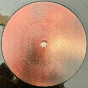 Disco in vinile Nine Inch Nails - The Fragile: Deviations 1 (4 LP) (180g) - 4