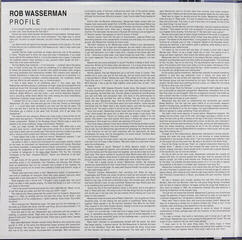 Δίσκος LP Rob Wasserman - Duets (2 LP) (200g) (45 RPM) - 2