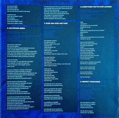 Hanglemez Jack White - Boarding House Reach (LP) (180g) - 6