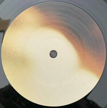 Disco in vinile Nine Inch Nails - The Fragile: Deviations 1 (4 LP) (180g) - 8