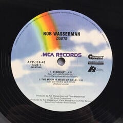 Δίσκος LP Rob Wasserman - Duets (2 LP) (200g) (45 RPM) - 5