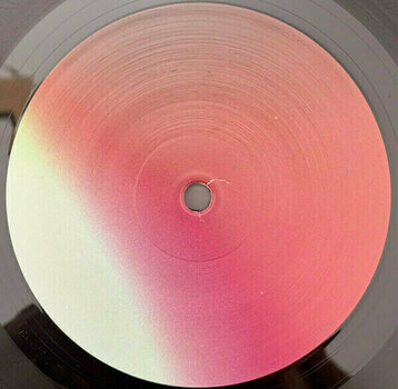 Disco in vinile Nine Inch Nails - The Fragile: Deviations 1 (4 LP) (180g) - 9