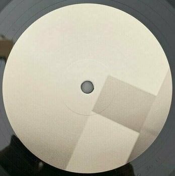 Disco in vinile Nine Inch Nails - The Fragile: Deviations 1 (4 LP) (180g) - 11