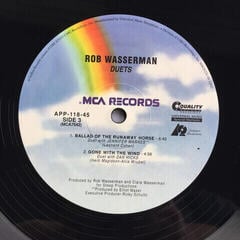 Δίσκος LP Rob Wasserman - Duets (2 LP) (200g) (45 RPM) - 7