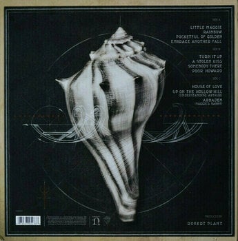 Hanglemez Robert Plant - Lullaby and...The Ceaseless Roar (2 LP + CD) (180g) - 3
