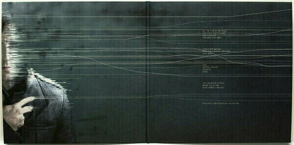 Hanglemez Nine Inch Nails - With Teeth (2 LP) (180g) - 11