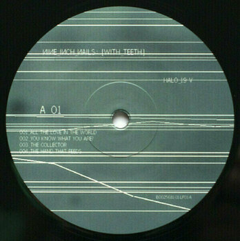 Hanglemez Nine Inch Nails - With Teeth (2 LP) (180g) - 6