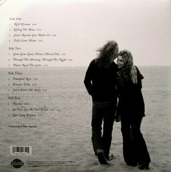 Hanglemez Robert Plant & Alison Krauss - Raising Sand (2 LP) (180g) - 4