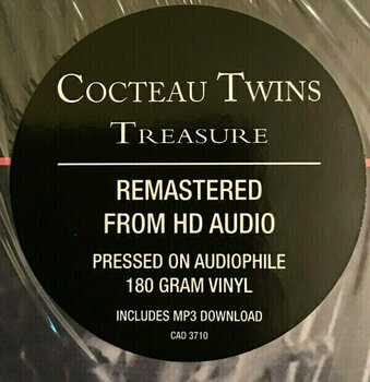 Disco in vinile Cocteau Twins - Treasure (LP) (180g) - 5