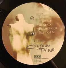 Disc de vinil Cocteau Twins - Treasure (180g) (Reissue) (Remastered) (LP) - 2