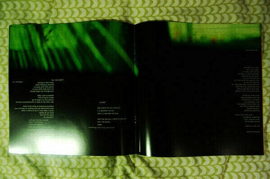 Δίσκος LP Nine Inch Nails - The Fragile (3 LP) (180g) - 7
