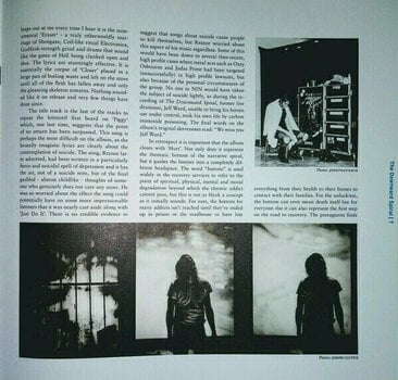 Disco in vinile Nine Inch Nails - The Downward Spiral (2 LP) (180g) - 18