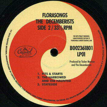 Hanglemez The Decemberists - Florasongs (10" Vinyl) - 4