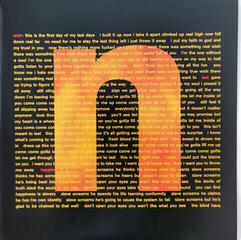 Hanglemez Nine Inch Nails - Broken (180g) (12" Vinyl + 7" Vinyl) - 6