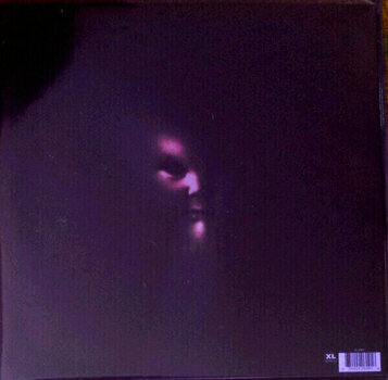 LP Sigur Rós - Von (2 LP + CD) (180g) - 2