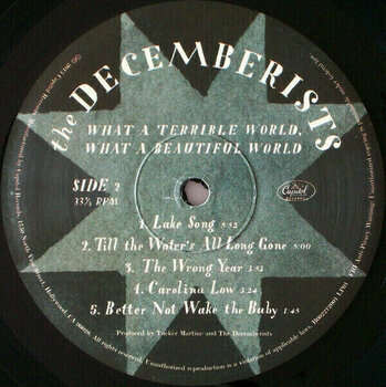 Hanglemez The Decemberists - What A Terrible World, What A Beautiful World (2 LP) (180g) - 4