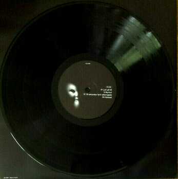 LP Sigur Rós - Von (2 LP + CD) (180g) - 10
