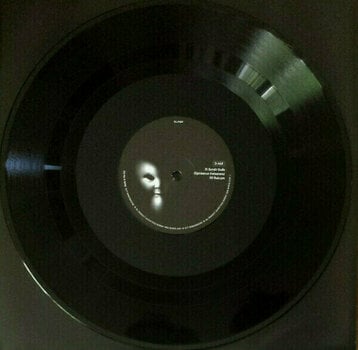 LP Sigur Rós - Von (2 LP + CD) (180g) - 11