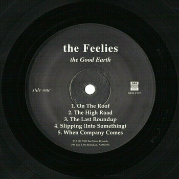LP The Feelies - The Good Earth (LP) - 3