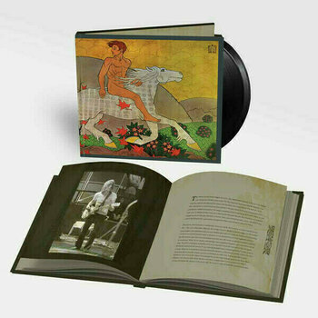 Vinylskiva Fleetwood Mac - Then Play On (2 LP) - 2