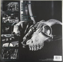 Vinyl Record Baest - Venenum (LP + CD) - 1