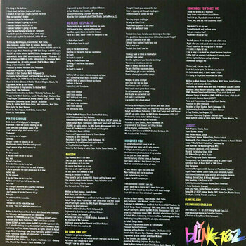 Disco in vinile Blink-182 - Nine (LP) - 6