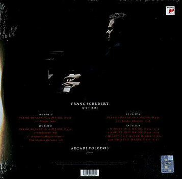 LP Arcadi Volodos - Schubert: Piano Sonata D959/Minutes D334, D335, D600 (Deluxe Edition) (2 LP) - 2
