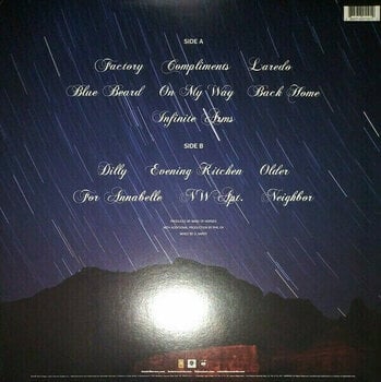 Schallplatte Band Of Horses - Infinite Arms (LP) (180g) - 2