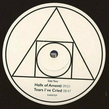 Vinyl Record Fatal Fusion - The Ancient Tale (2 LP) - 3