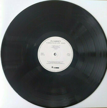 Schallplatte PJ Harvey - To Bring You My Love - Demos (LP) - 2
