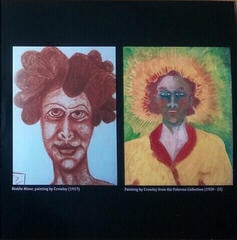 Disc de vinil Twink And The Technicolour - Sympathy For The Beast (RSD Edition) (LP) - 4