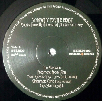 Vinyl Record Twink And The Technicolour - Sympathy For The Beast (Twink And The Technicolour Dream) (LP) - 2