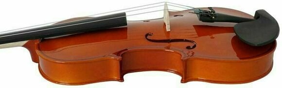 Violino Acustico Pasadena SGV 015 4/4 - 4