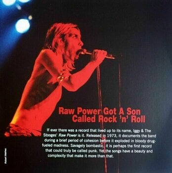 LP Iggy Pop & The Stooges - Raw Power (2 LP) - 3