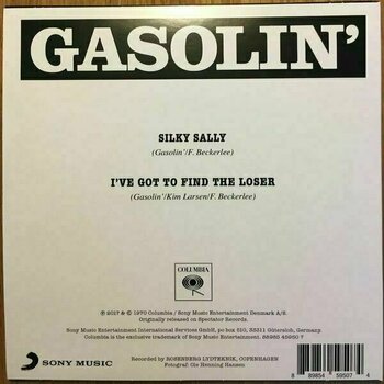 Disco in vinile Gasolin - Black Box (Box Set) (10 LP) - 3