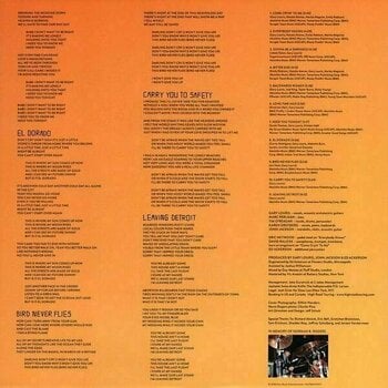 Hanglemez Jayhawks - Back Roads And Abadoned Motels (LP) - 5