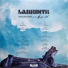 Hanglemez Labrinth - Misfit Kid (LP) - 1