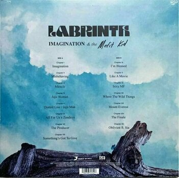 Hanglemez Labrinth - Misfit Kid (LP) - 2