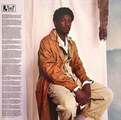 Hanglemez Labrinth - Misfit Kid (LP) - 3
