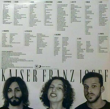 Disco in vinile Kaiser Franz Josef - Make Rock Great Again (LP) - 6