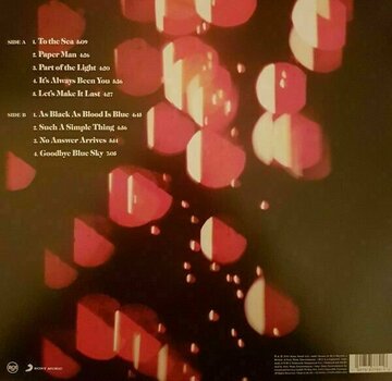 Vinyl Record Ray Lamontagne - Part Of The Light (LP) - 2