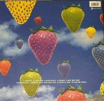 Disque vinyle Lightning Seeds - Jollification (Remastered) (LP) - 2
