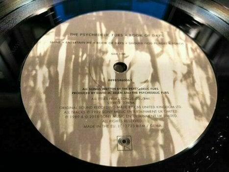 Disque vinyle The Psychedelic Furs - Book Of Days (LP) - 2