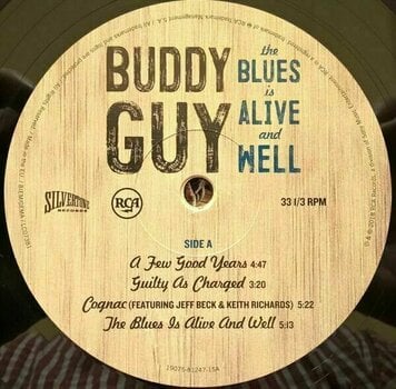 LP Buddy Guy - Blues Is Alive and Well (2 LP) - 3